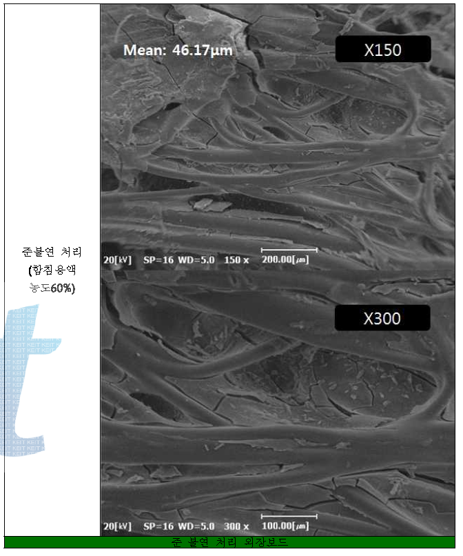 SEM Images : 준불연 처리(함침용액 농도 60%) 외장 보드