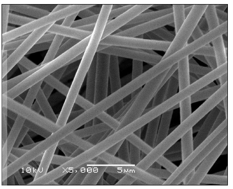 SEM images of electrospun nano web