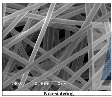 SEM images of TiO2 nano web(Non-sintering)