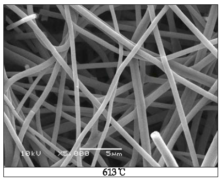 SEM images of TiO2 nano web (Sintering at 613℃)