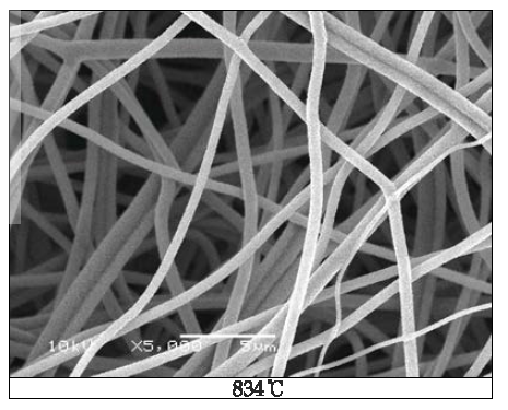SEM images of TiO2 nano web (Sintering at 834℃)