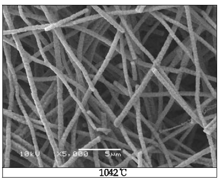 SEM images of TiO2 nano web (Sintering at 1042℃)