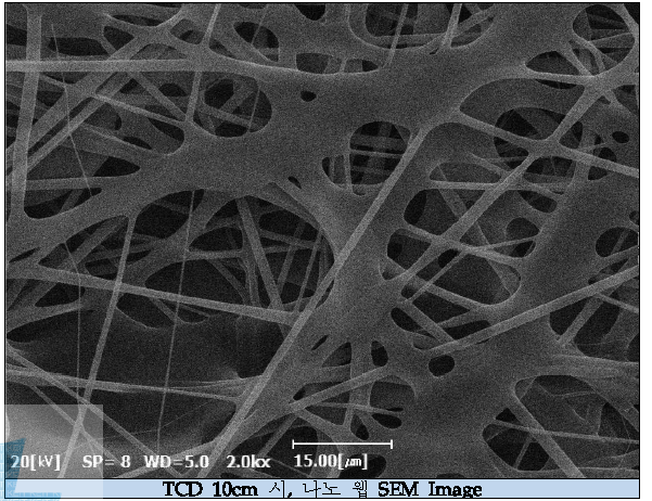 TCD 10cm 일 때, 나노 웹 SEM Image (x2000, 전압 25kV, 농도 10wt%)