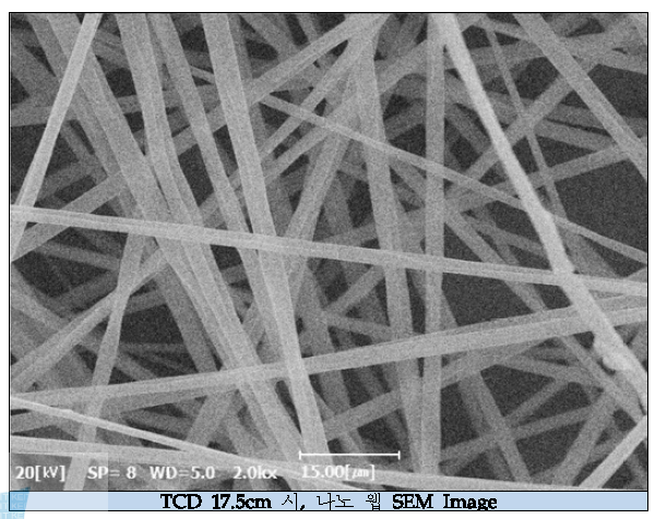 TCD 17.5cm 일 때, 나노 웹 SEM Image (x2000, 전압 25kV, 농도 10wt%)