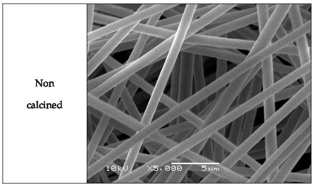 SEM images of electrospun nano web