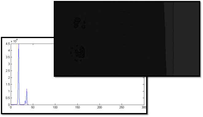 Raw 영상 데이터의 Histogram 분석