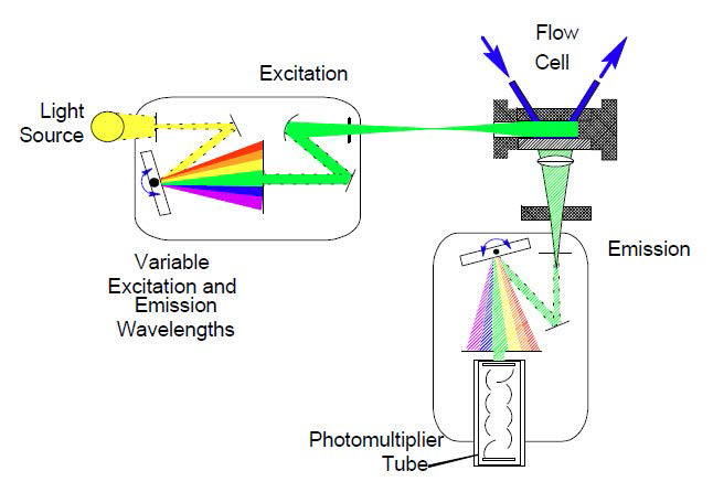 Schematic diagram of Fluorescence Detector.
