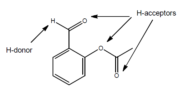 Some molecules can act as both hydrogen atom donors and acceptors