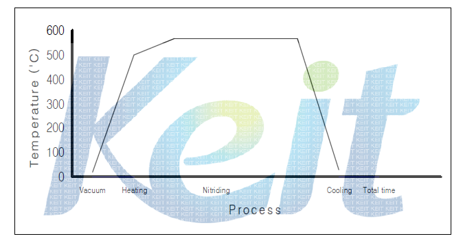 SUS304의 고온 질화공정도