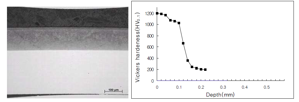 SUS304강종의 560℃질화온도에서 형성된 질화층의 단면 사진 및 경도 프로파일