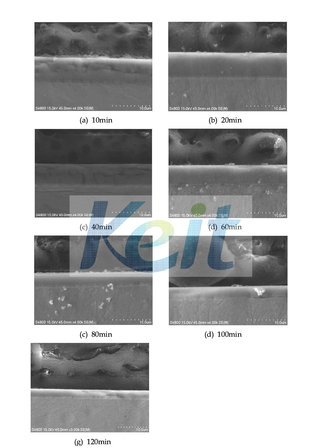 Results of SEM for CrN