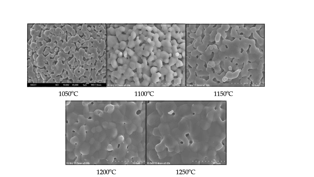 소결온도에 따른 다공성 β-TCP 마이크로스피어 미세구조 전자현미경 이미지