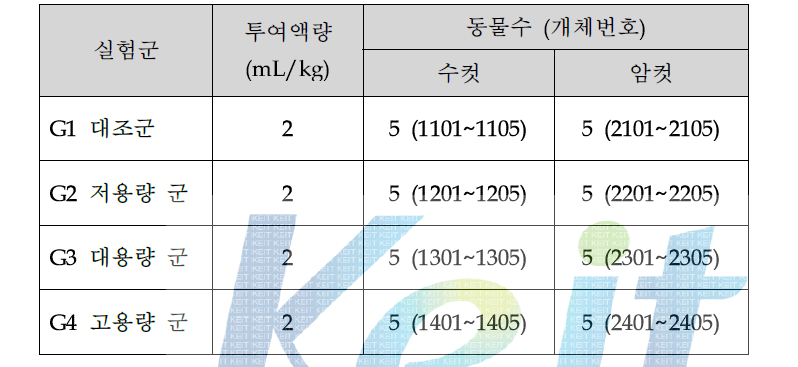 단회 투여 독성 실험군 구성 및 투여액 량