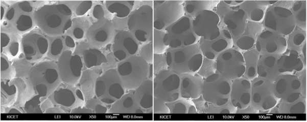 다공구조 지지체의 미세구조 (좌) HA, (우) b-TCP