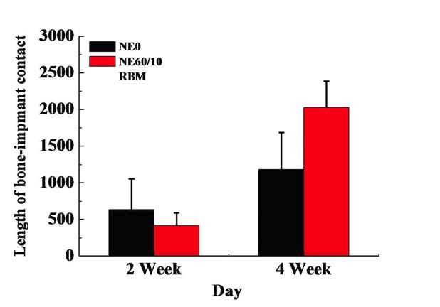식립 2, 4주 후의 시편별 골 접촉률 비교