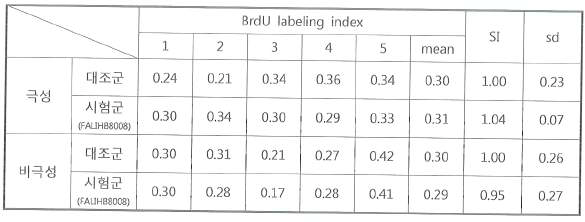 생체활성물질 탑재형 임플란트의 감작성 평가 (BrdU labeling index)