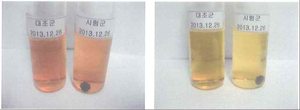 생체활성물질 탑재형 임플란트의 무균시험 (1주차) 액상치오글리콜산배지(좌), 대두카제인소화배지(우)