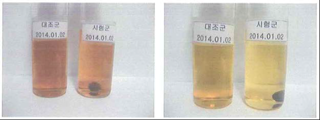 생체활성물질 탑재형 임플란트의 무균시험 (2주차) 액상치오글리콜산배지(좌), 대두카제인소화배지(우)