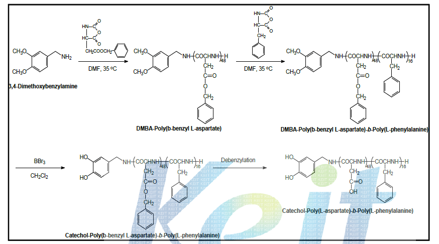 Catechol-poly(L-aspartic acid)-b-poly(L-phenylalanine)의 합성 모식도