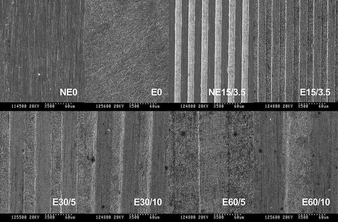 공정에 의한 형성된 titanium 표면의 micropattern 이미지