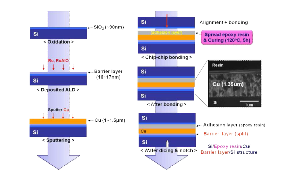 Epoxy bonding sample preparation scheme and cross-sectional FIB Image.