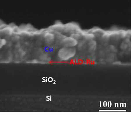 ALD-Ru 박막 위에 증착된 구리의 SEM 단면 분석결과.