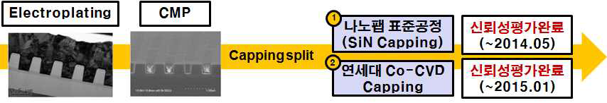 Co capping 층 적용에 따른 EM 신뢰성 평가 진행 개요