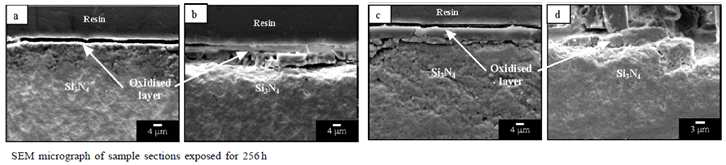 Si3N4에서의 산화막 생성 및 화학반응