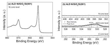 XPS 분석 (a) Ni core level (b) N, O, C core level