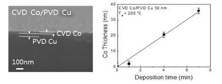 PVD Cu 기판 위 Co CVD 증착 SEM 이미지 Co CVD 박막 성장특성