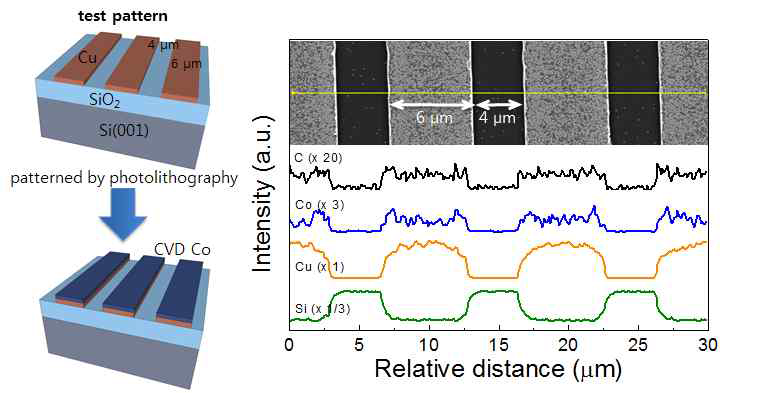 (좌) 선택적 Co 증착 확인을 위한 line pattern 제작 공정 모식도 (우) 선택적 Co 증착 확인을 위한 EDS 분석