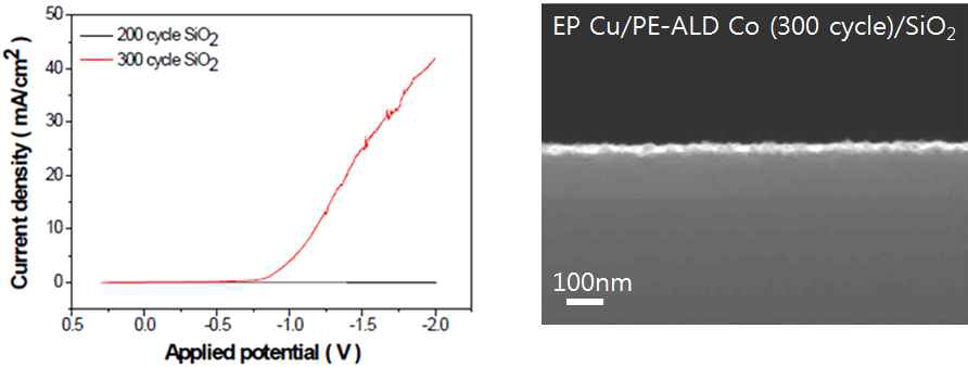 ALD Co박막을 씨앗층으로 이용한 Cu EP 전류 및 ALD Co 박막 위 Cu EP된 SEM 이미지