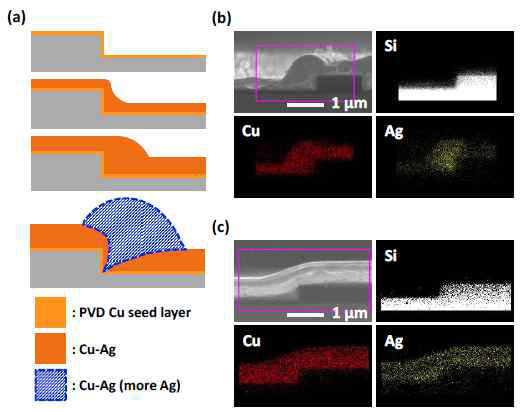 (a) The prediction of deposition profile at the corner of low-aspect-ratio trench and the distribution of Cu, Ag and Si in the deposites with (b) KSeCN and thiourea, and (c) thiourea