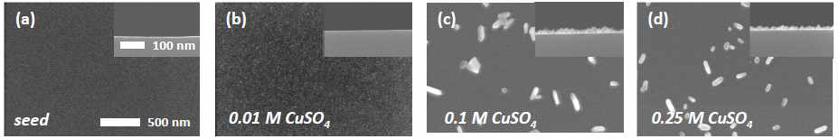 FESEM images according to Cu concentration; (a) bare wafer, (b) 0.01 M CuSO4, (c) 0.1M CuSO4 and (d) 0.25M CuSO4