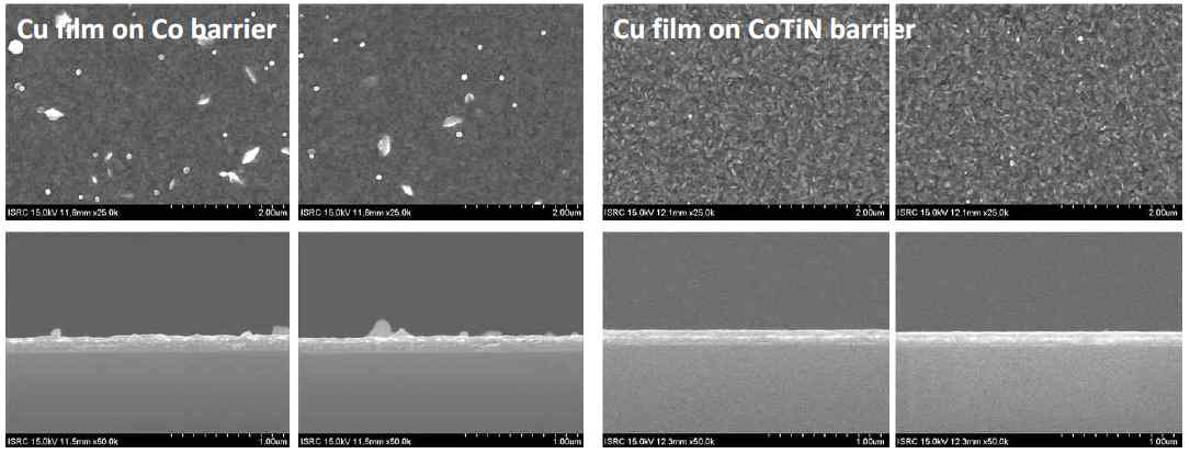 Co 및 CoTiN위에 전착된 Cu film의 crossectional 및 surface FE-SEM image