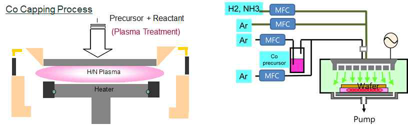 Co capping 의 구성도