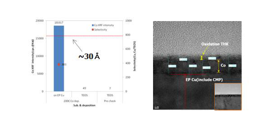 SiO2 와 Cu 와의 selectivity & TEM 분석