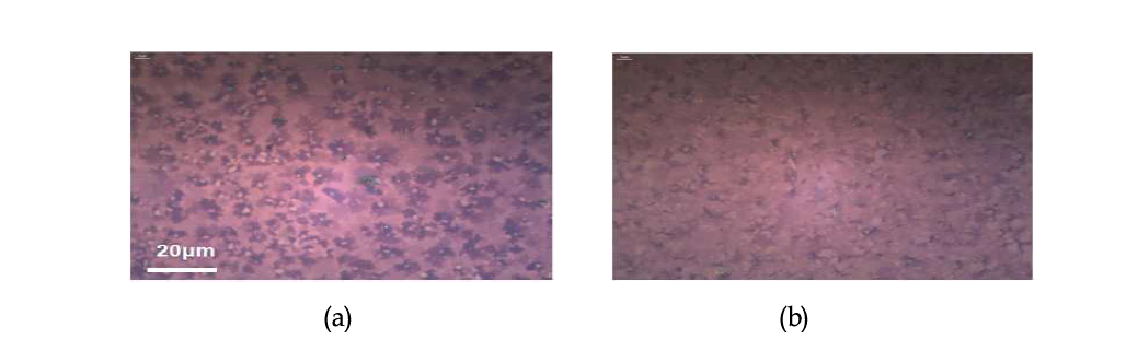 (a) Ni 박막과 (b) Co 박막 위에 성장시킨 그래핀의 사진. (촉매금속 두께: 200 nm)