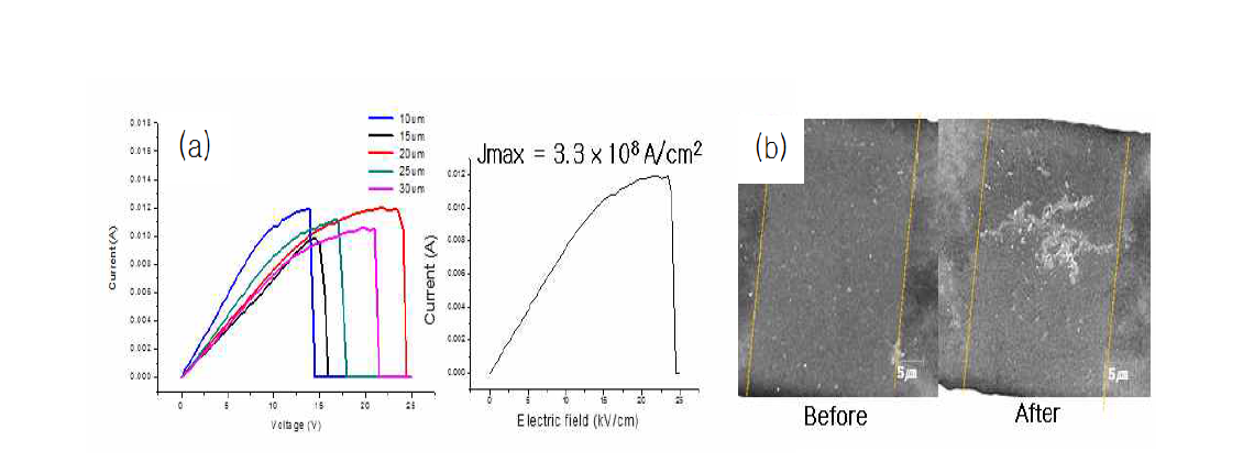 (a) 다층 그래핀의 BV 측정 I-V curve와 전류밀도, (b) BV 특성 평가 전과 후의 SEM image