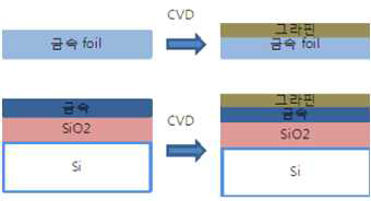 그래핀 성장(CVD)를 통한 그래핀 박막형성 (금속 foil 혹은 Si 기판)
