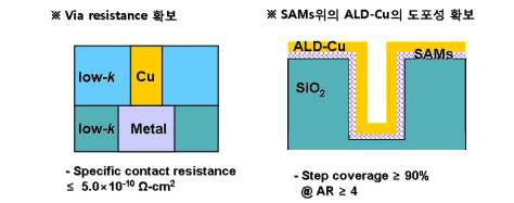 자기조립 배리어+Cu 공정 최적화