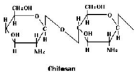 키토산 구조식