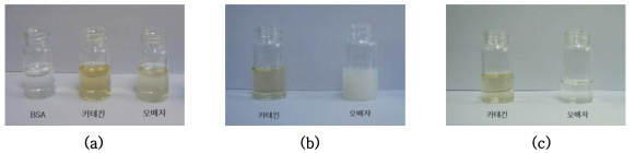 (a) 증류수에 용해시킨 BSA, 카테킨, 갈로탄닌, (b) BSA 수용액 첨가, (c) 필터링 후