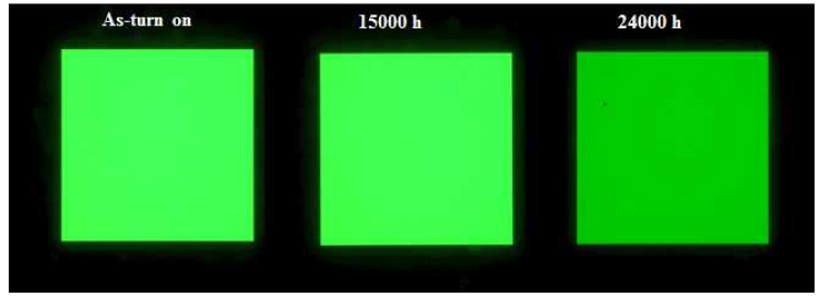 다층 박막봉지막이 적용된 OLED 소자 발광 이미지
