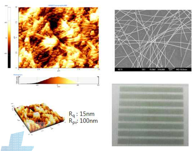 Ag Nanowire 기판 표면 AFM ,SEM image 및 식각 후 사진