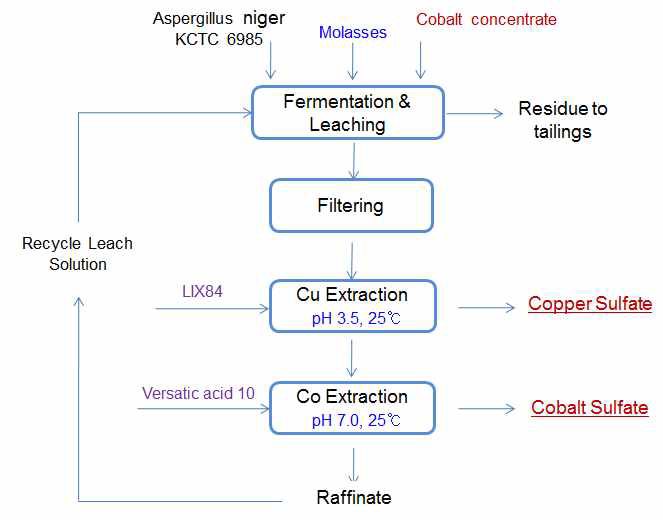 Process for organic acid bioleaching of cobalt concentrate.