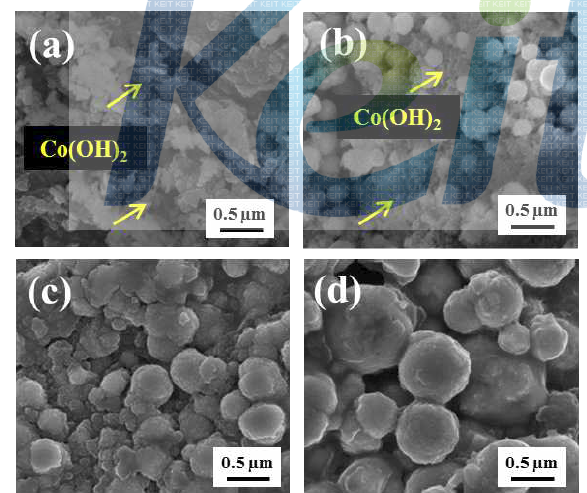 220℃에서 합성 시간에 따른 코발트 화합물의 FE-SEM 이미지