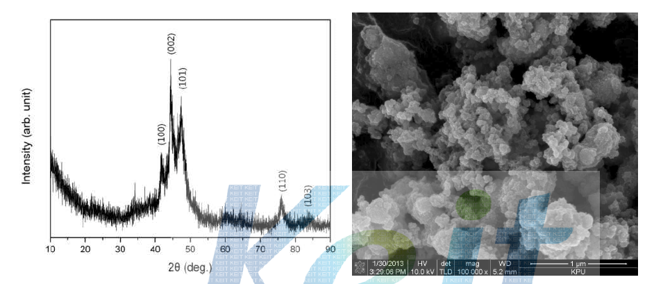 황산코발트 수용액으로 합성한 Co 나노분말의 XRD 및 SEM 결과