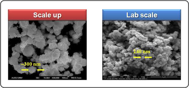 나노 코발트 반응시스템을 이용하여 합성한 코발트 분말과 lab scale을 통해 합성한 코발트 분말의 미세구조 비교