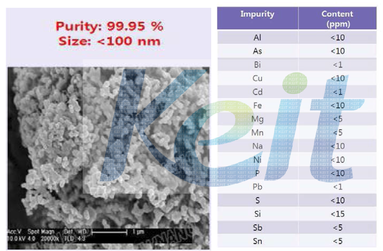WC 나노분말의 SEM 및 ICP 결과